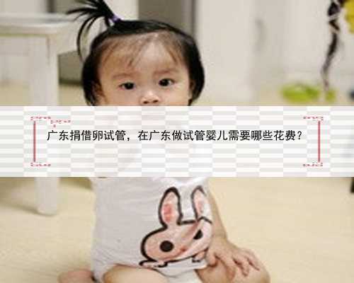 广东捐借卵试管，在广东做试管婴儿需要哪些花费？