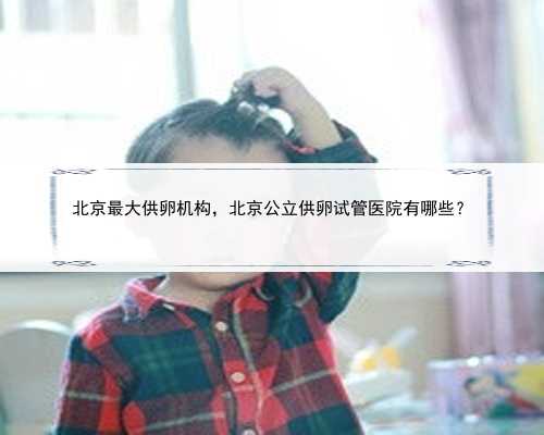 北京最大供卵机构，北京公立供卵试管医院有哪些？