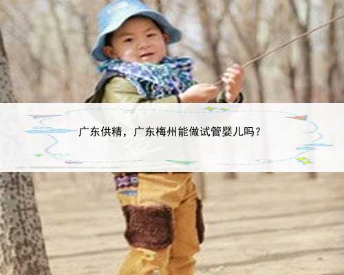 广东供精，广东梅州能做试管婴儿吗？